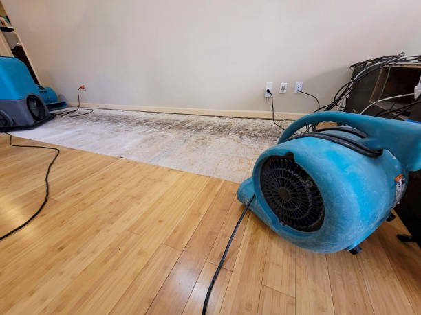 Professional Water Damage Repair technician working in Elgin, MN